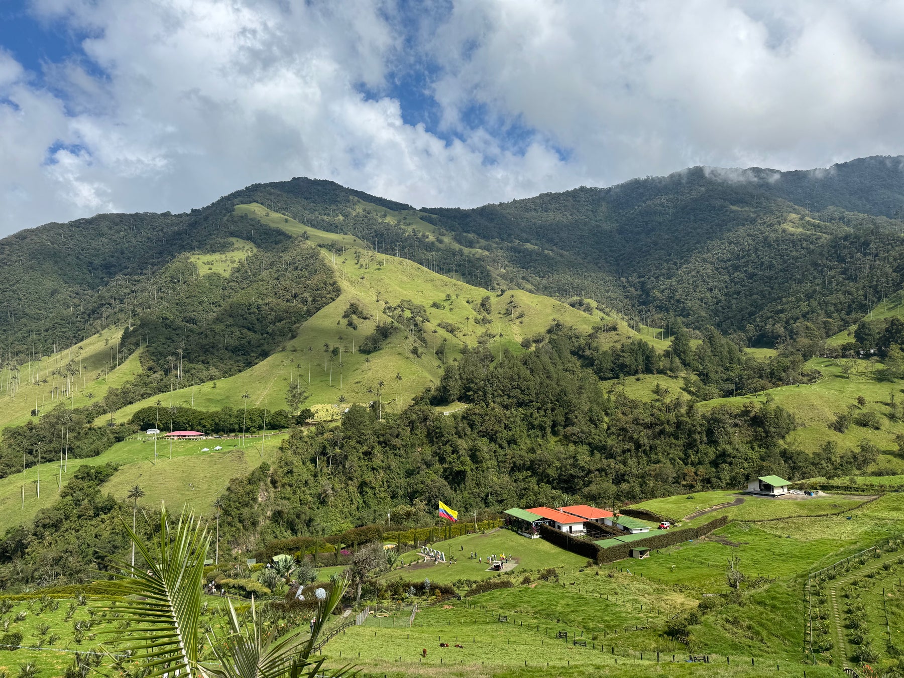 Vallee de Cocora